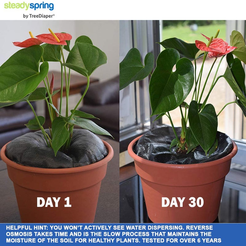 حصيرة الري SteadySpring Smart لمدة 30+ يومًا من 10 إلى 12 في حاويات للنباتات المنزلية والأعشاب والأشجار والطماطم - تعبئة ذاتية تدوم أكثر من 30 يومًا، حصيرة الري التلقائي (عبوتان) - Image 2